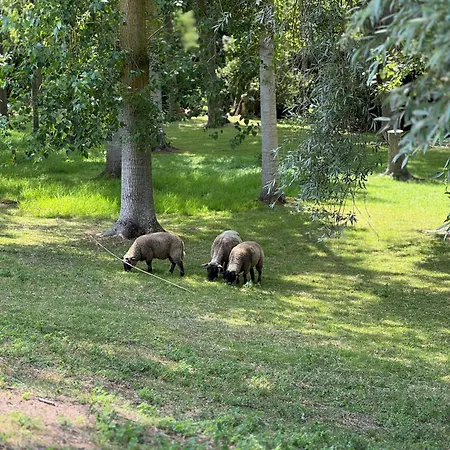 Domaine De